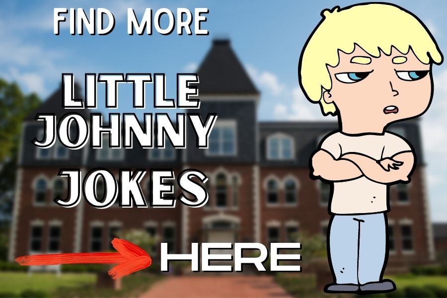 more Little Johnny jokes