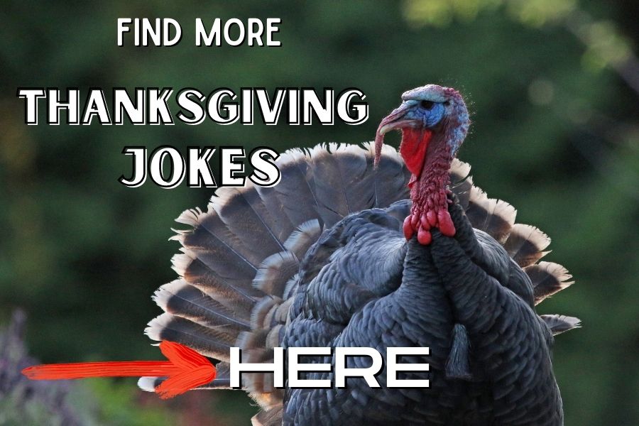 more thanksgiving jokes