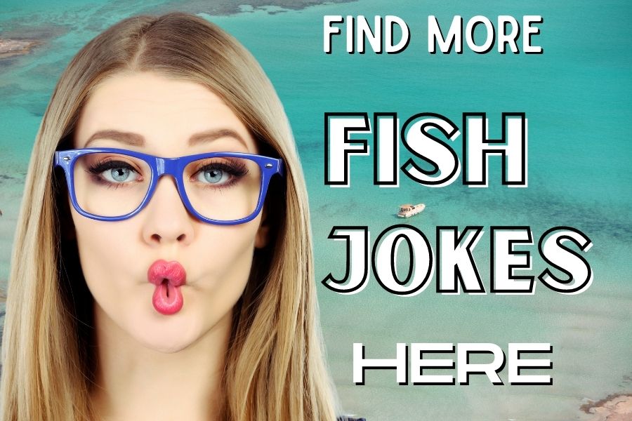 more fish jokes